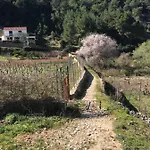 Stiniva House Willa