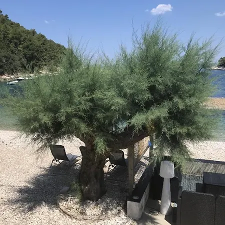 Stiniva House Villa *