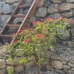 Stiniva House Villa *